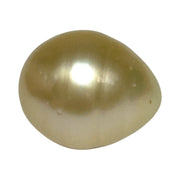 Giant Smooth 15 x 17.9mm 27.8 Carats Gold South Sea Teardrop Pearl