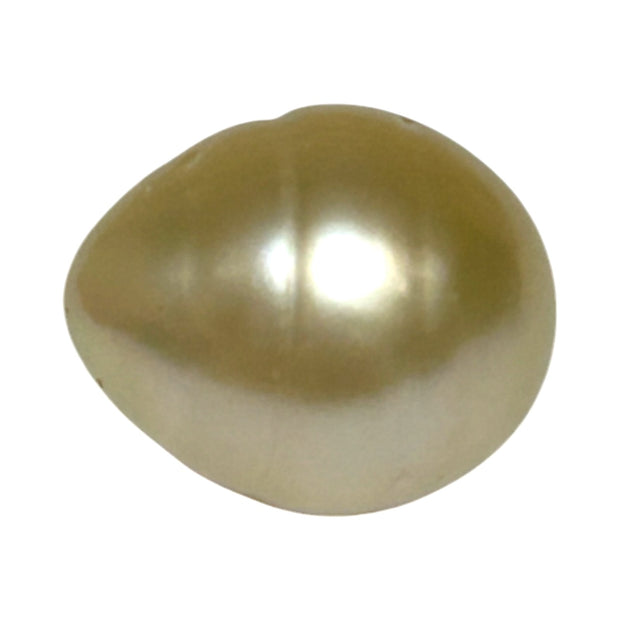 Giant Smooth 15 x 17.9mm 27.8 Carats Gold South Sea Teardrop Pearl