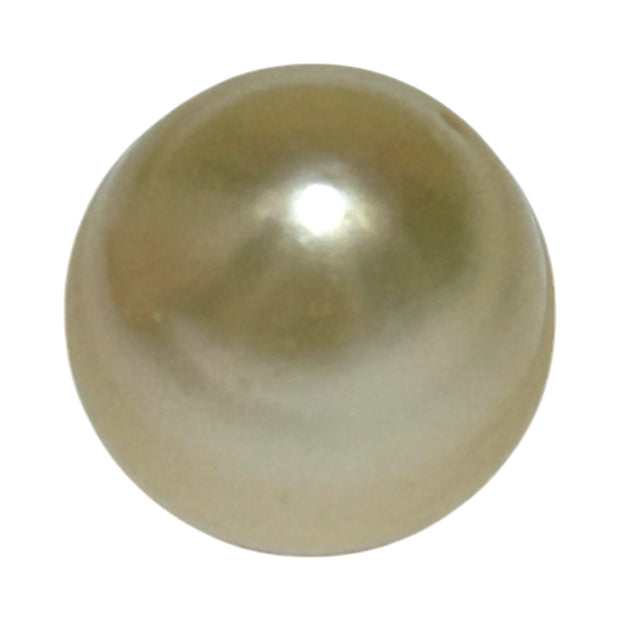 Giant Smooth 15 x 17.9mm 27.8 Carats Gold South Sea Teardrop Pearl