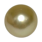 Giant Smooth 15 x 17.9mm 27.8 Carats Gold South Sea Teardrop Pearl