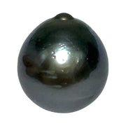 Huge 20.5 Carat 13.9 x 15.4mm Tahitian Peacock Black Green Pearl Loose