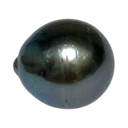 Huge 20.5 Carat 13.9 x 15.4mm Tahitian Peacock Black Green Pearl Loose