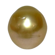 Oval Giant 14.3 x 15.8mm 23.4 Carats Deep Gold South Sea Pearl