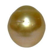 Oval Giant 14.3 x 15.8mm 23.4 Carats Deep Gold South Sea Pearl