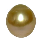 Oval Giant 14.3 x 15.8mm 23.4 Carats Deep Gold South Sea Pearl