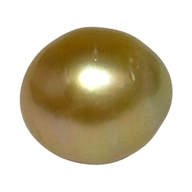 Oval Giant 14.3 x 15.8mm 23.4 Carats Deep Gold South Sea Pearl