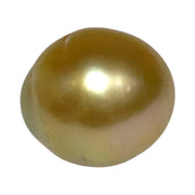 Oval Giant 14.3 x 15.8mm 23.4 Carats Deep Gold South Sea Pearl