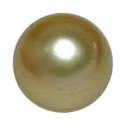 Oval Giant 14.3 x 15.8mm 23.4 Carats Deep Gold South Sea Pearl