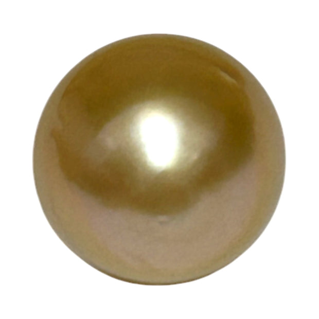 Oval Giant 14.3 x 15.8mm 23.4 Carats Deep Gold South Sea Pearl