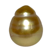 Lustrous Oval 12.8 x 15.2mm Deep Gold Philippines South Sea Pearl