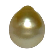 Premier Oval 12 x 14.5mm 16.5 Carats Rich Gold South Sea Loose Pearl