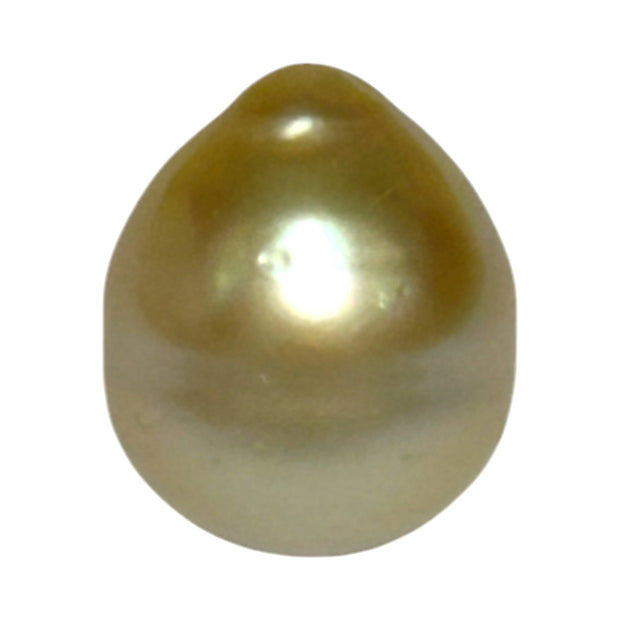 Premier Oval 12 x 14.5mm 16.5 Carats Rich Gold South Sea Loose Pearl