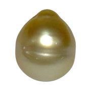 Premier Oval 12 x 14.5mm 16.5 Carats Rich Gold South Sea Loose Pearl