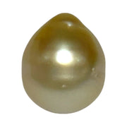 Premier Oval 12 x 14.5mm 16.5 Carats Rich Gold South Sea Loose Pearl