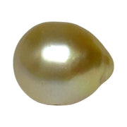 Premier Oval 12 x 14.5mm 16.5 Carats Rich Gold South Sea Loose Pearl