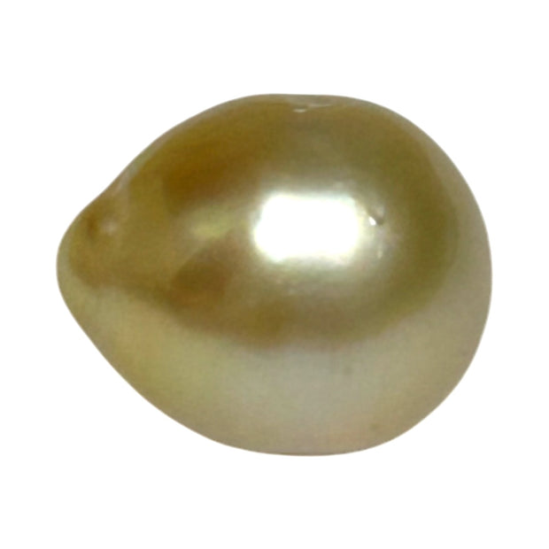 Premier Oval 12 x 14.5mm 16.5 Carats Rich Gold South Sea Loose Pearl