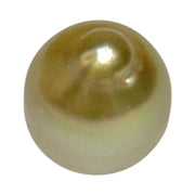 Premier Oval 12 x 14.5mm 16.5 Carats Rich Gold South Sea Loose Pearl