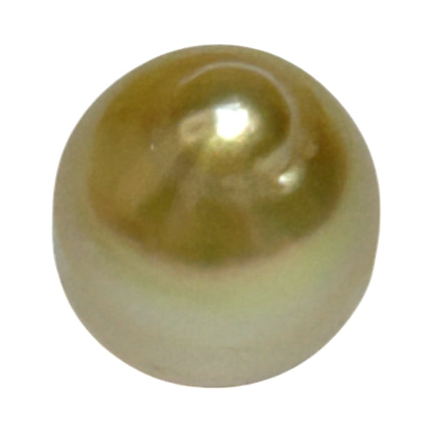 Premier Oval 12 x 14.5mm 16.5 Carats Rich Gold South Sea Loose Pearl