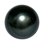 Premier 13.3 x 14.2mm Tahitian South Sea Peacock Black Oval Loose Pearl