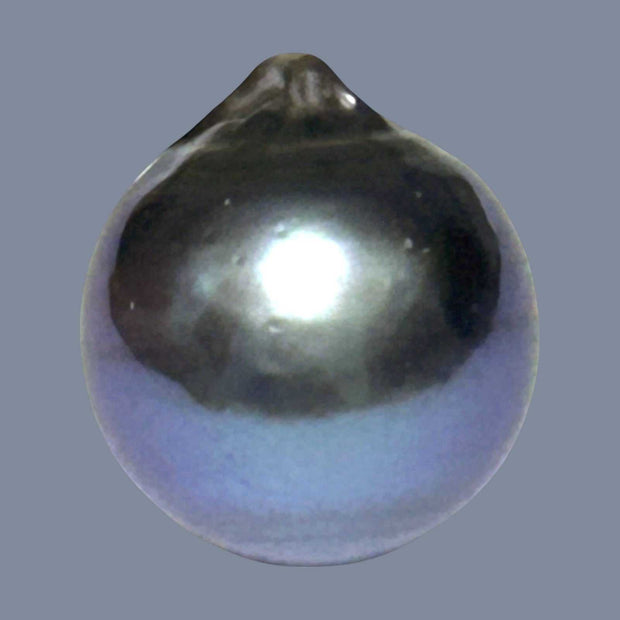 Giant 14 x 15.6mm 20.3 Carats Tahitian Sea Peacock Grey Blue Pearl