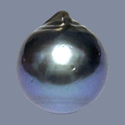 Giant 14 x 15.6mm 20.3 Carats Tahitian Sea Peacock Grey Blue Pearl