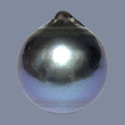 Giant 14 x 15.6mm 20.3 Carats Tahitian Sea Peacock Grey Blue Pearl