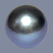 Giant 14 x 15.6mm 20.3 Carats Tahitian Sea Peacock Grey Blue Pearl