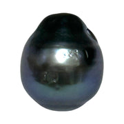 Giant 13.4 x 15.7mm 20 Carats Tahitian Peacock Black Blue Loose Pearl