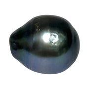 Giant 13.4 x 15.7mm 20 Carats Tahitian Peacock Black Blue Loose Pearl