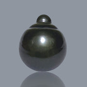 Delicate 14.1 x 17mm Tahitian South Sea Peacock Black Loose Pearl