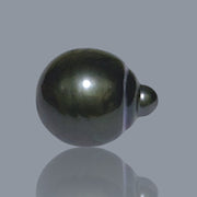 Delicate 14.1 x 17mm Tahitian South Sea Peacock Black Loose Pearl