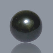 Delicate 14.1 x 17mm Tahitian South Sea Peacock Black Loose Pearl