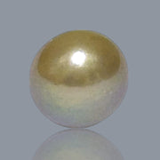 Oval Egg 12.5 x 14.7mm Lavender Purple Gold Keshi Pearl Un-Drilled