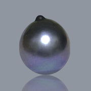 Huge 18.4 Carat 13.3 x 15.7mm Tahitian Peacock Black Blue Loose Pearl