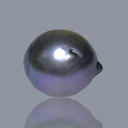 Huge 18.4 Carat 13.3 x 15.7mm Tahitian Peacock Black Blue Loose Pearl