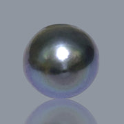 Huge 18.4 Carat 13.3 x 15.7mm Tahitian Peacock Black Blue Loose Pearl