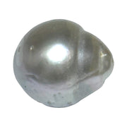 Splendid Giant 27 cts 15.4 x 17.6mm Tahitian Natural Silver Blue Pearl