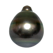 Giant 12.2 x 15mm 14.2 Carat Tahitian Peacock Black Green Rainbow Pearl