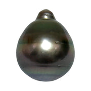 Giant 12.2 x 15mm 14.2 Carat Tahitian Peacock Black Green Rainbow Pearl