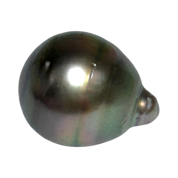 Giant 12.2 x 15mm 14.2 Carat Tahitian Peacock Black Green Rainbow Pearl