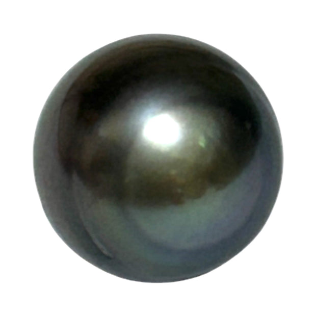 Giant 12.2 x 15mm 14.2 Carat Tahitian Peacock Black Green Rainbow Pearl