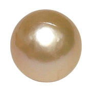 Giant 14.8 x 15.9mm Peach Pink Round Edison Un-Drilled Pearl Loose