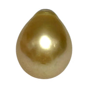 Huge Pear 13 x 16.1mm 18.7 Carats Rich Gold South Sea Pearl Loose