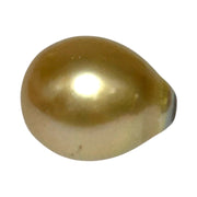 Huge Pear 13 x 16.1mm 18.7 Carats Rich Gold South Sea Pearl Loose