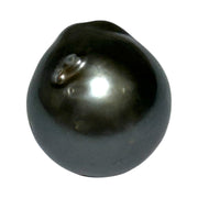 Monumental 13.2 x 14.5mm 17.3 Carat Tahitian Natural Black Green Pearl