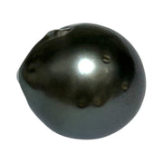 Monumental 13.2 x 14.5mm 17.3 Carat Tahitian Natural Black Green Pearl