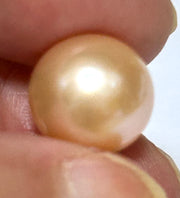 Un-Drilled Natural Peach Pink Round Edison 13.5mm 17.7 Carats Pearl