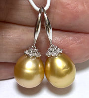 Smooth 11.1 x 12.7mm Deep Gold South Sea Oval Pearl Dangle Earrings