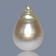 Super Giant 16.4 x 24mm Gold South Sea Teardrop Pearl Un-Drilled