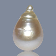 Super Giant 16.4 x 24mm Gold South Sea Teardrop Pearl Un-Drilled